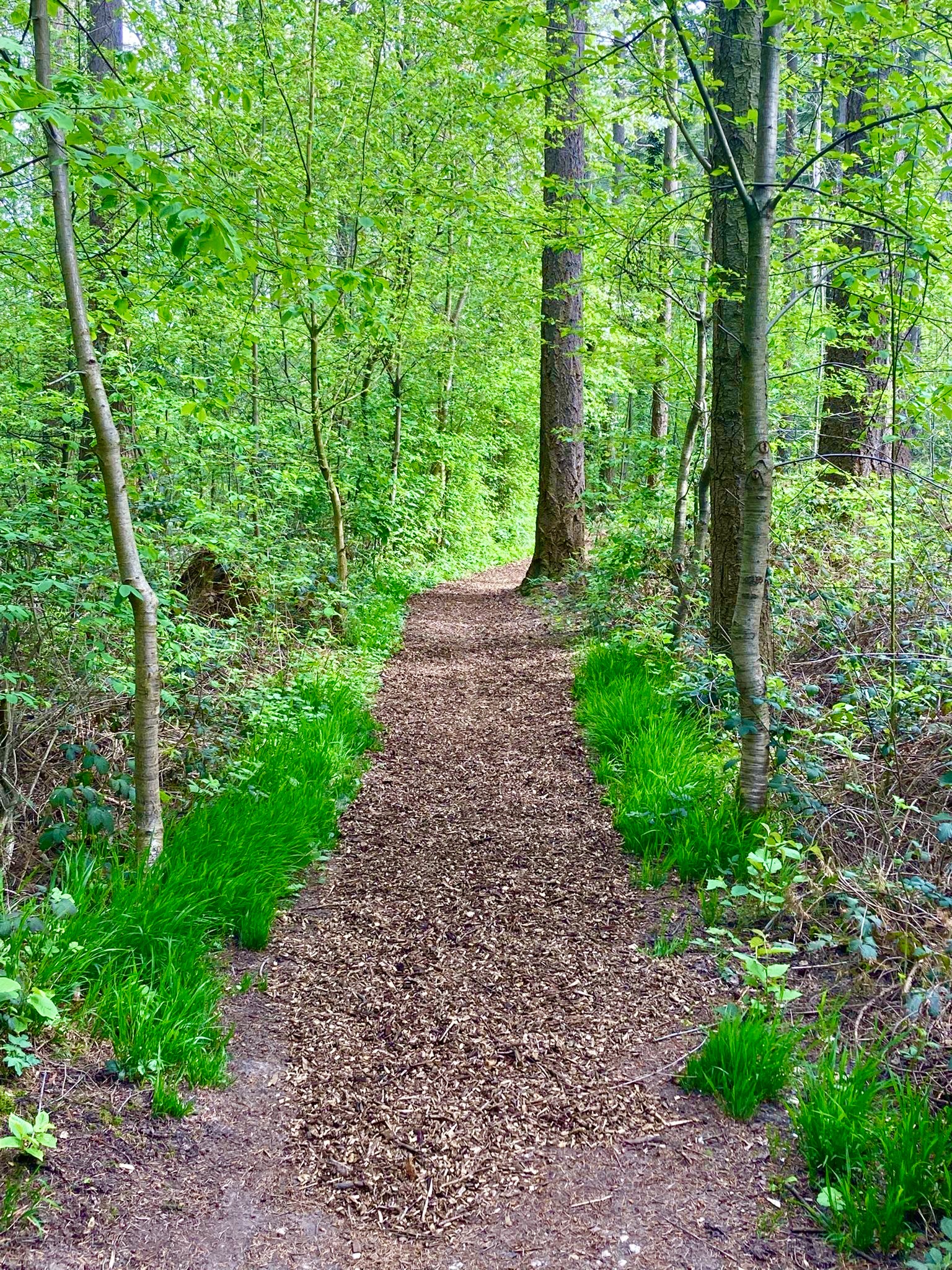 Finnenbahn-Aktion 2026